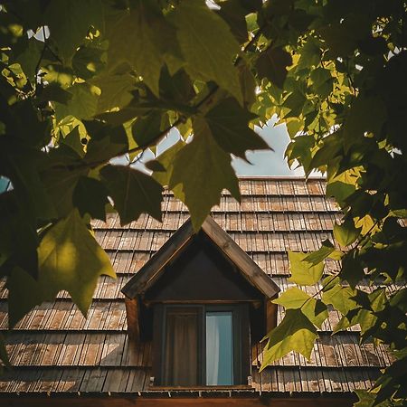 Guesthouse Pashko 세스 외부 사진
