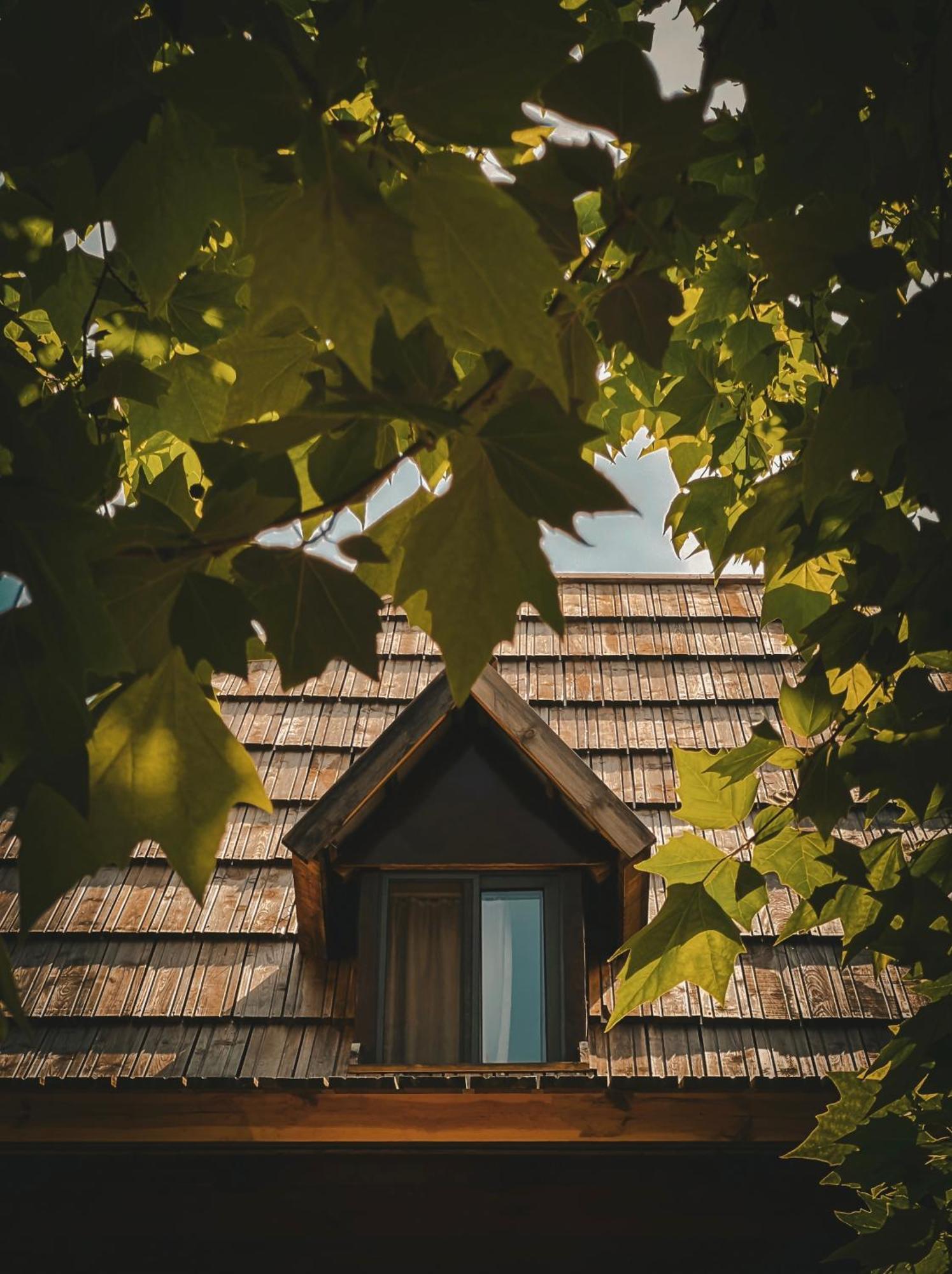 Guesthouse Pashko 세스 외부 사진